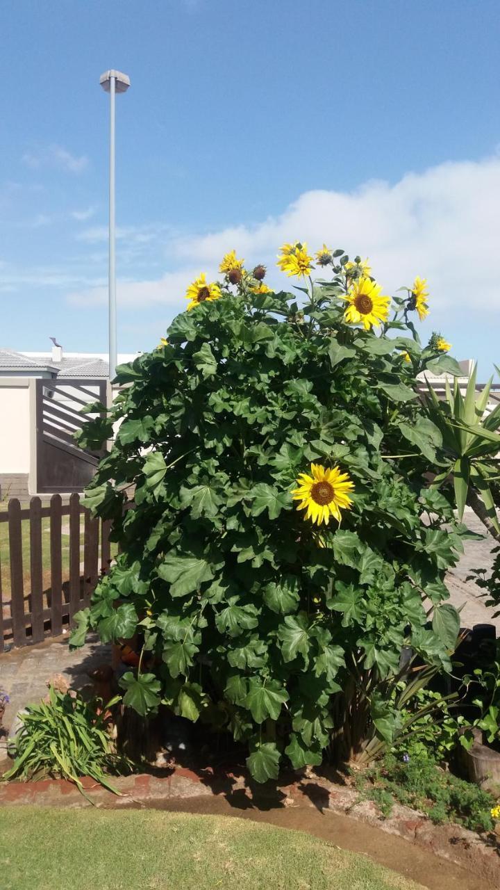 Sunflower Self-Catering Walvis Bay Dış mekan fotoğraf