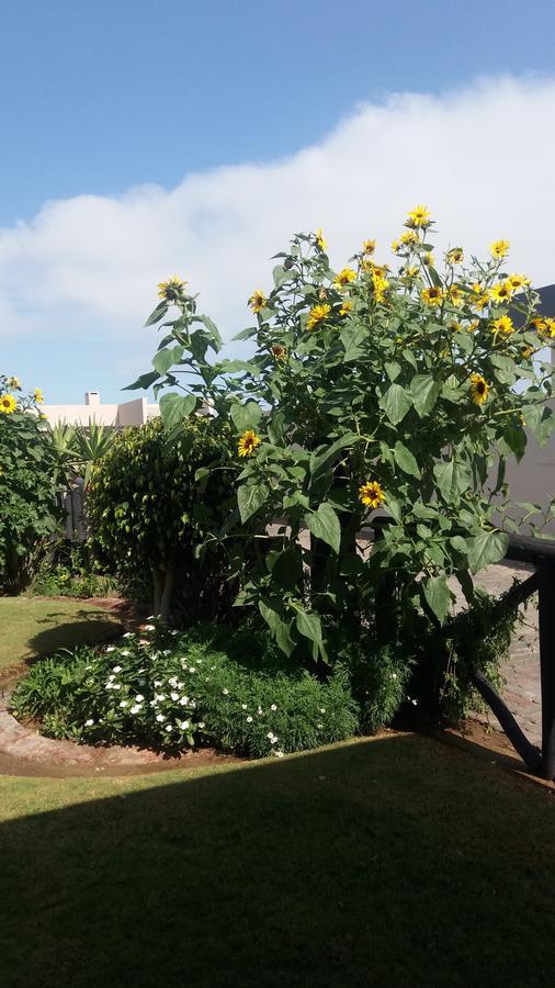 Sunflower Self-Catering Walvis Bay Dış mekan fotoğraf